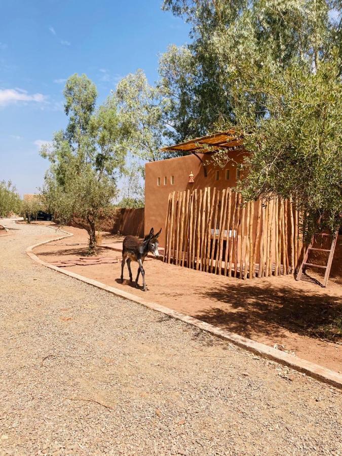 Upupa De L'Atlas Oulad el Guern ภายนอก รูปภาพ