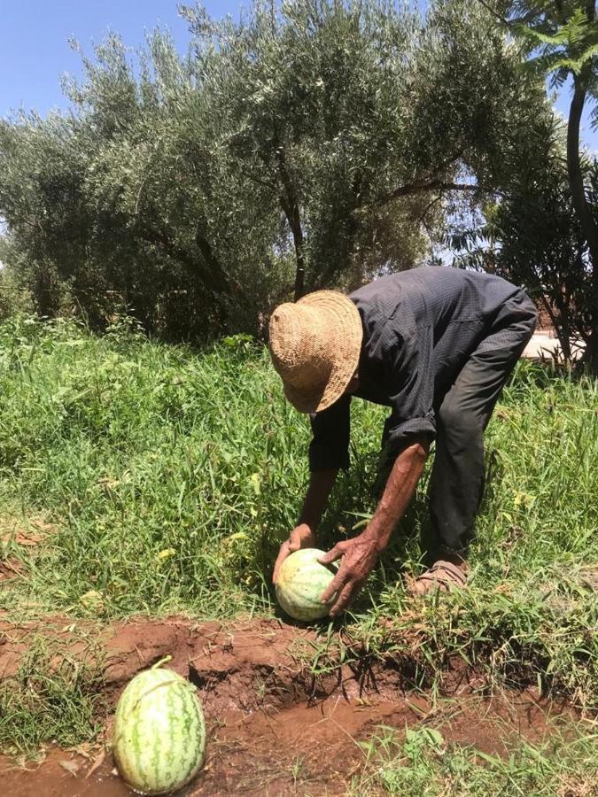 Upupa De L'Atlas Oulad el Guern ภายนอก รูปภาพ