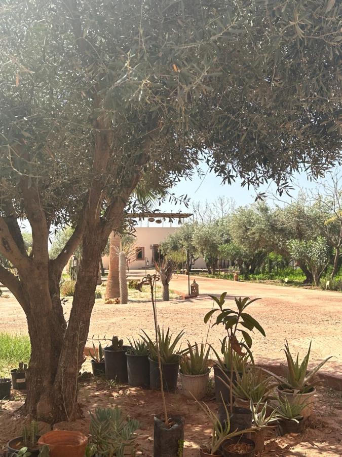 Upupa De L'Atlas Oulad el Guern ภายนอก รูปภาพ